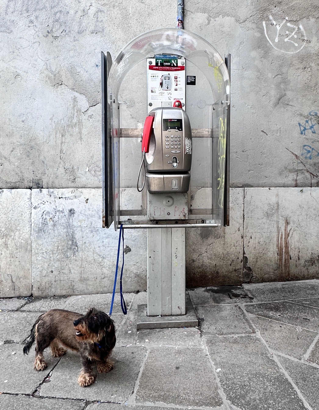 Cabina telefonica Venezia