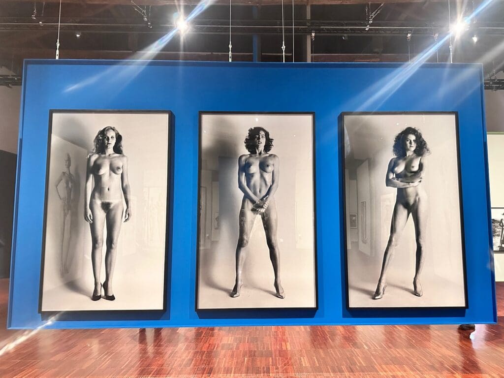 Helmut Newton, Stanze della Fotografia, Venezia