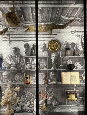 Palazzo Grimani, A Cabinet of Wonders